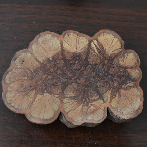 实木九龙藤杯垫茶垫纯天然紫砂壶垫